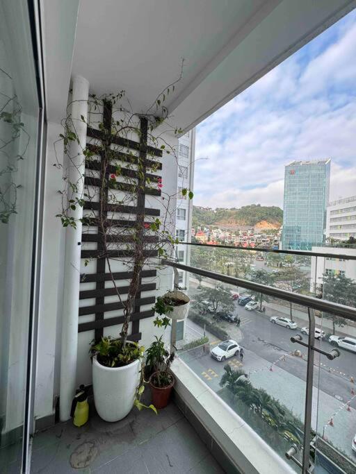 Homestay Sapphire Hạ Long view 2