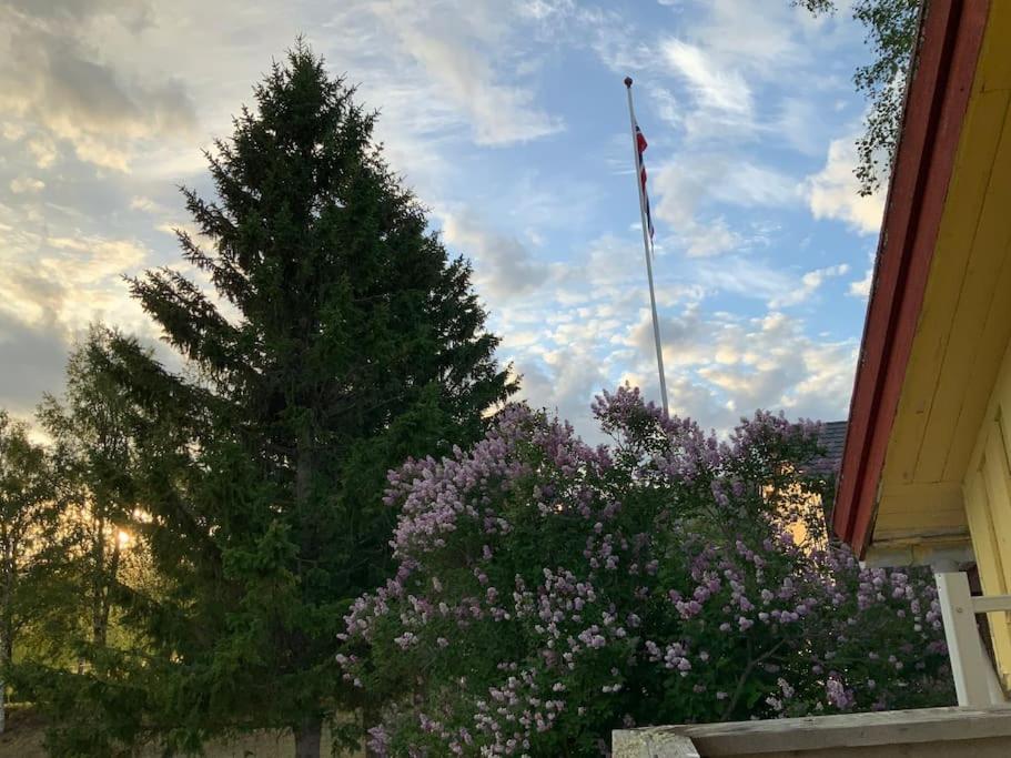 Photo 18