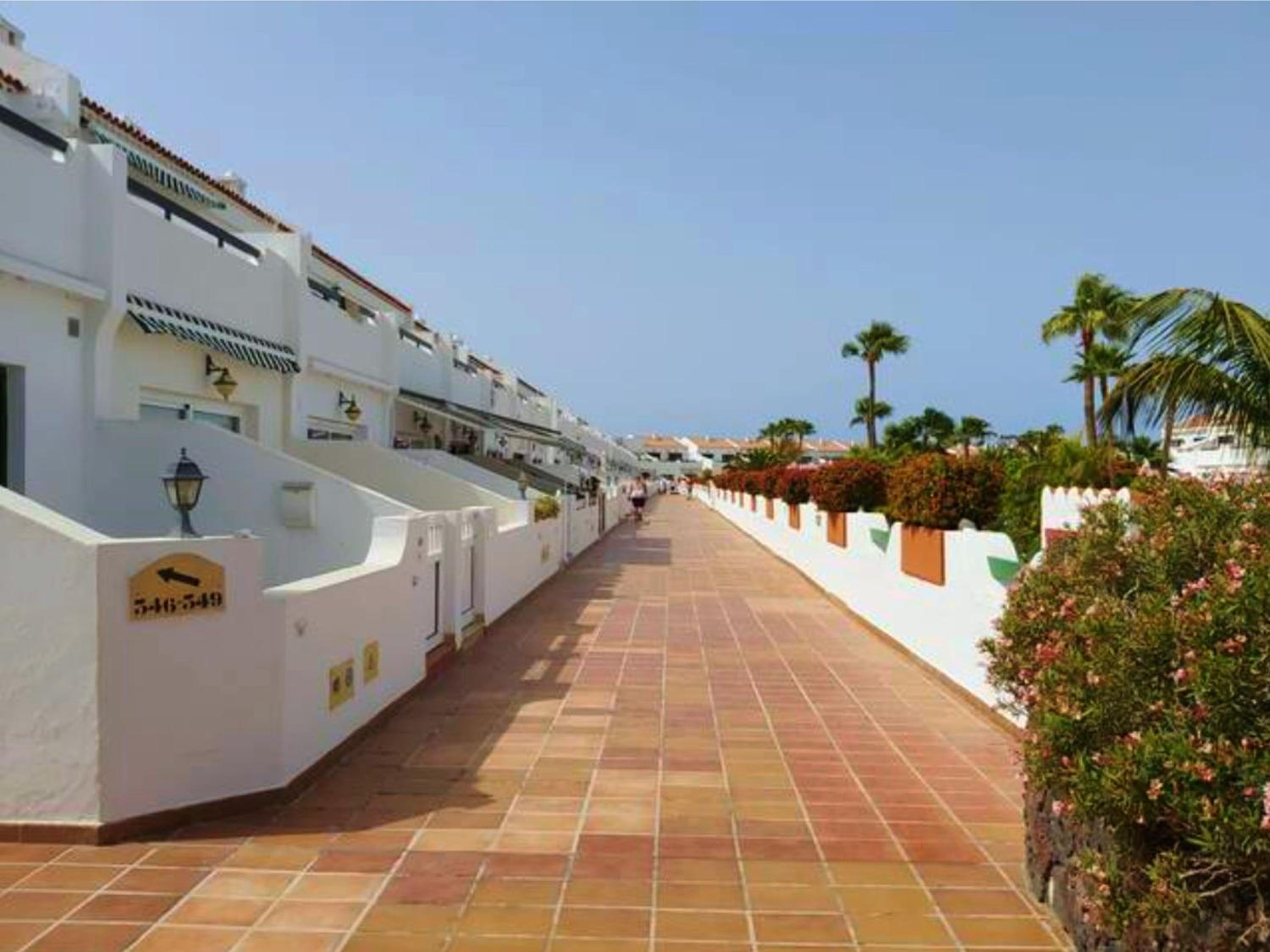 Live Don Jose two hundred and five with huge pool and teracce view 4