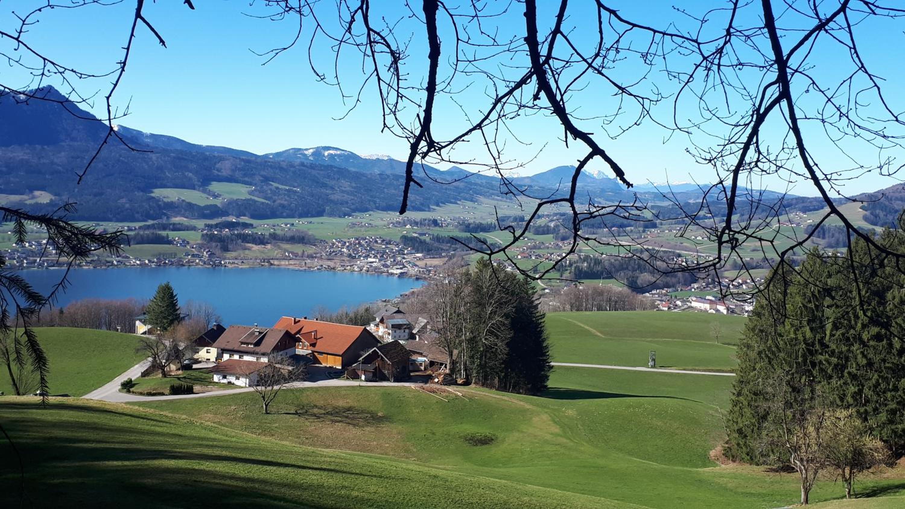 Bio Gesundheitshof Daxinger