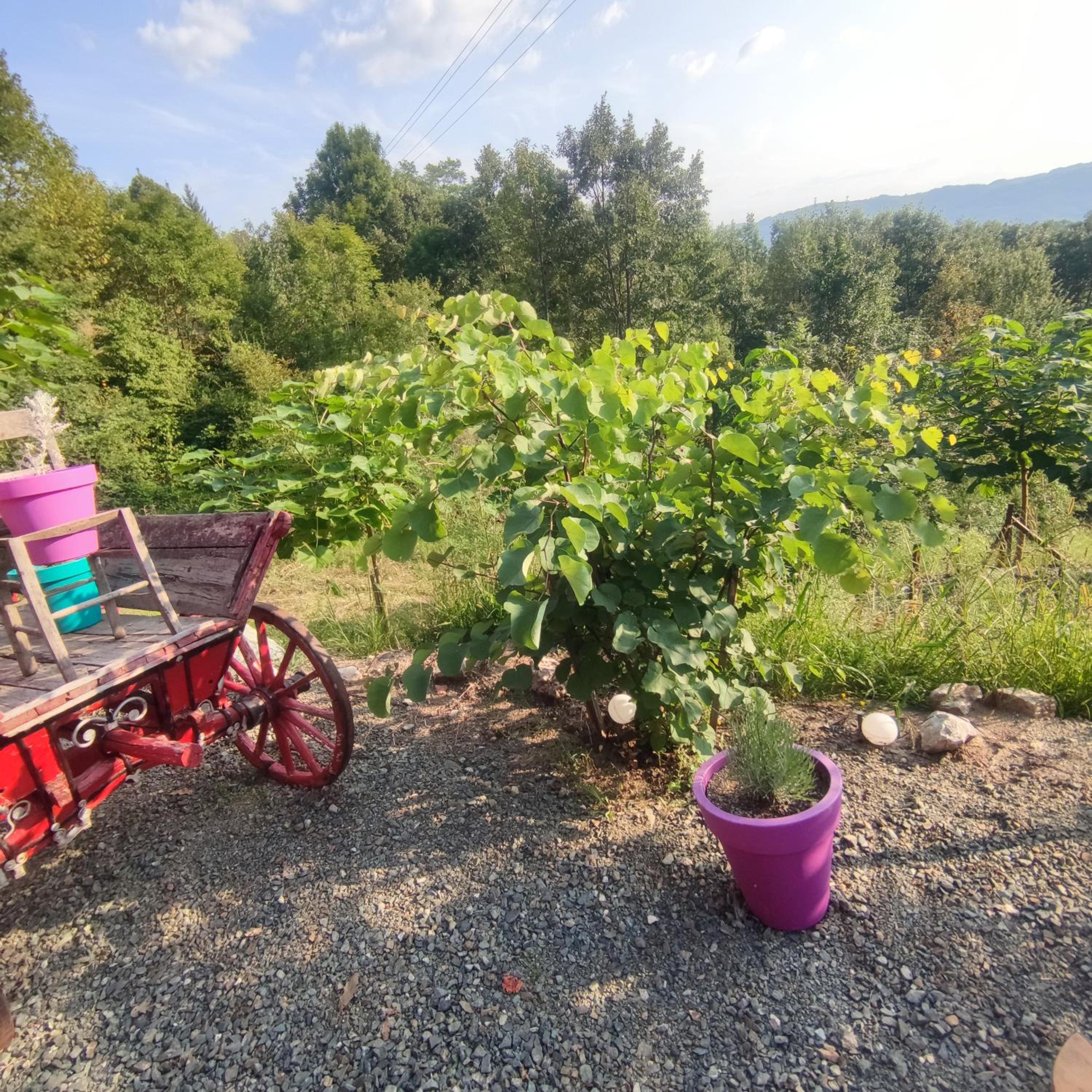 Seoski Turizam Feniks - apartman Ostrog