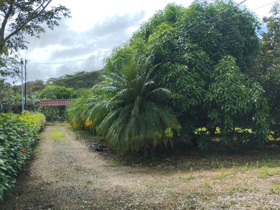 House in Cuajiniquil ,Belen de nosarita