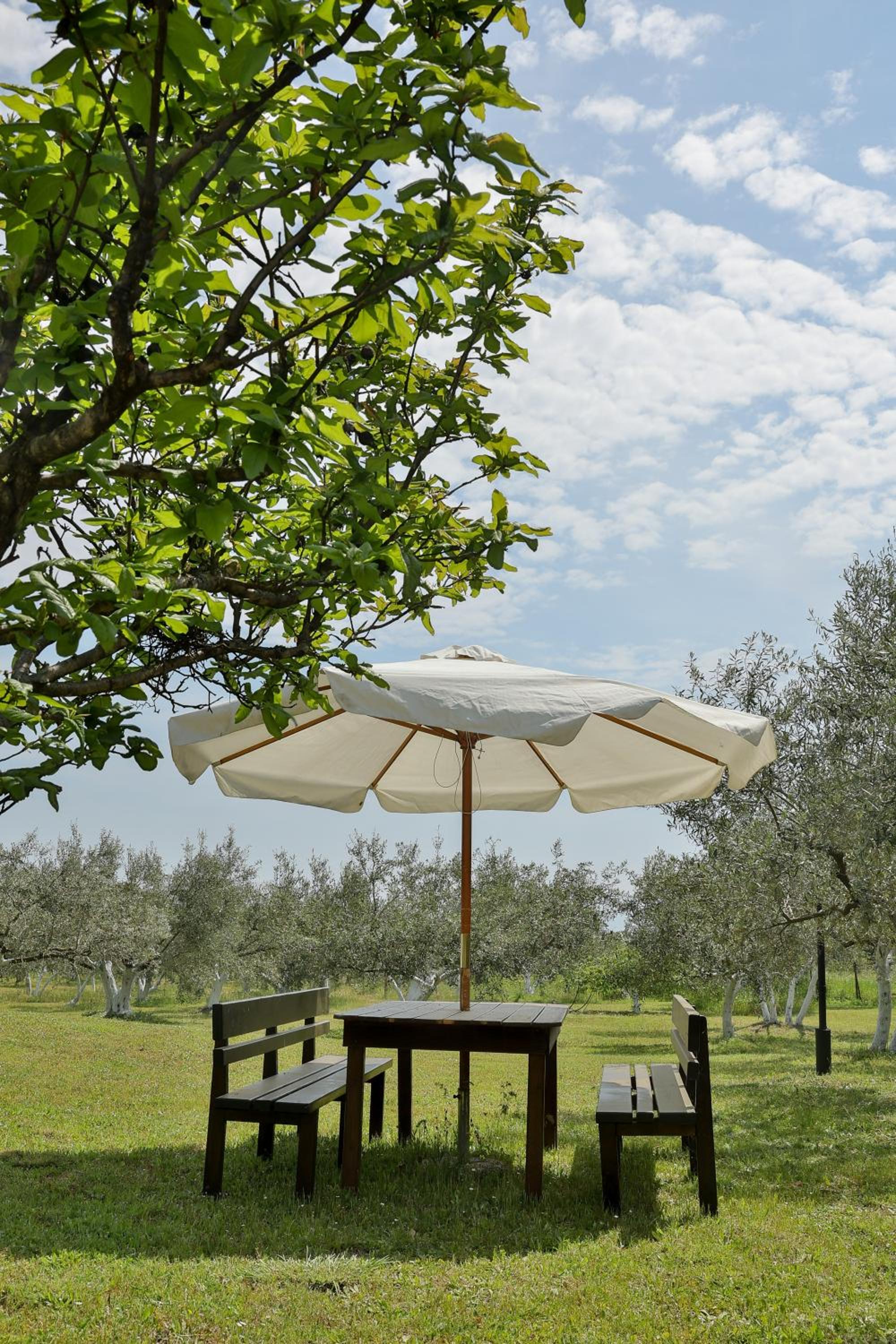 MaVitaPlace Olympus Olive House-Upper floor Leptokarya
