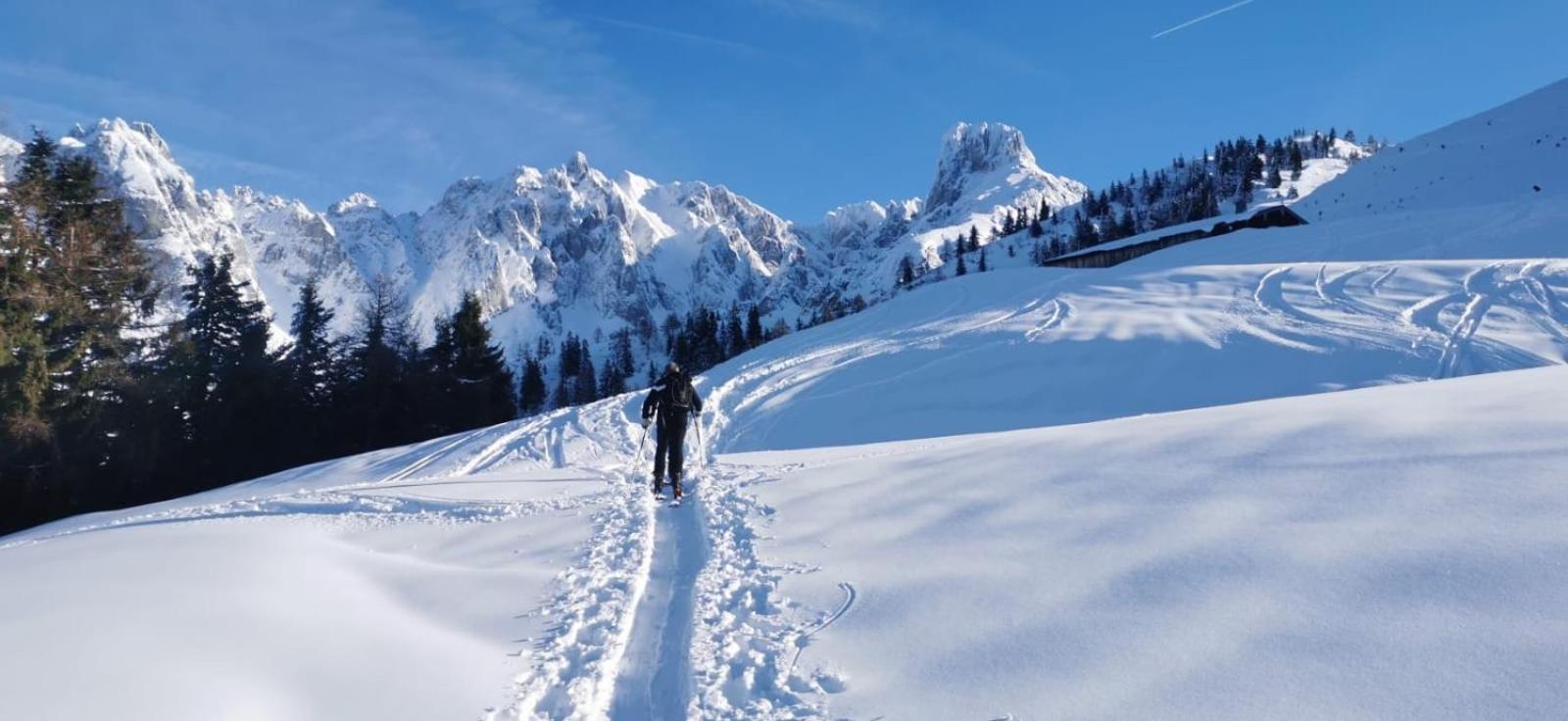 Ferienwohnungen Unterdürmoos Apartments mit Chalet-Charme auf 1050 m , Alleinlage