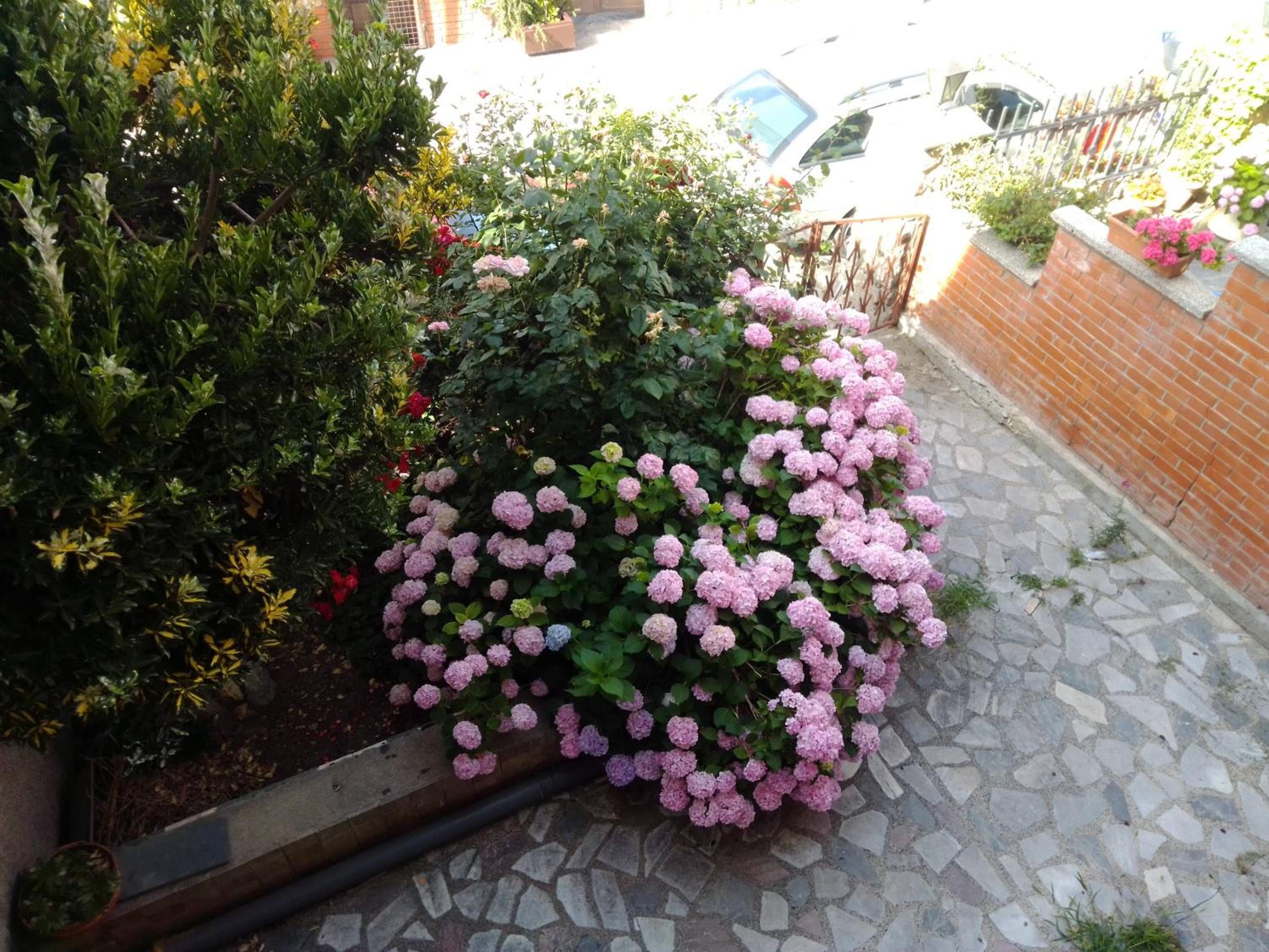 Beach Apartment Ohrid - Near Beach, Balcony and Free Parking