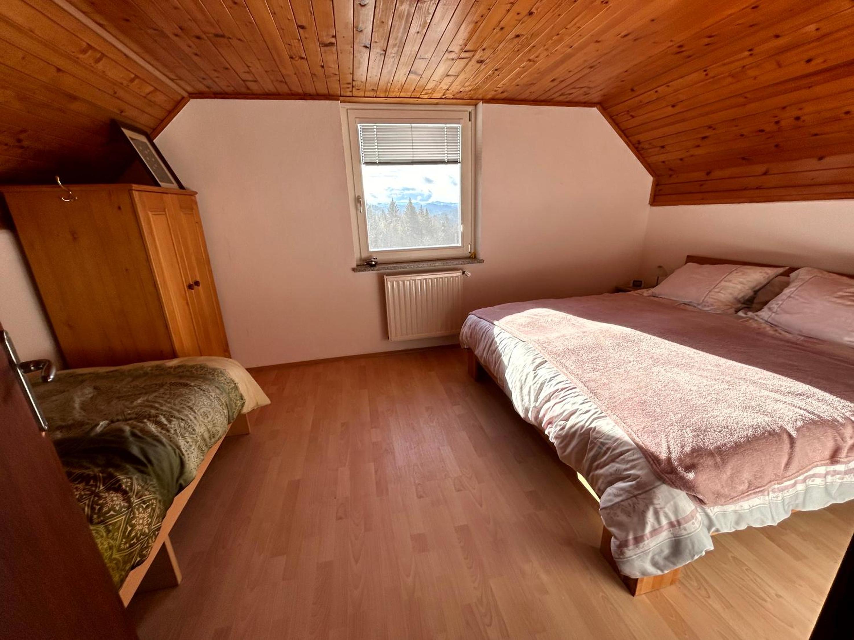 Apartma Bine view 4