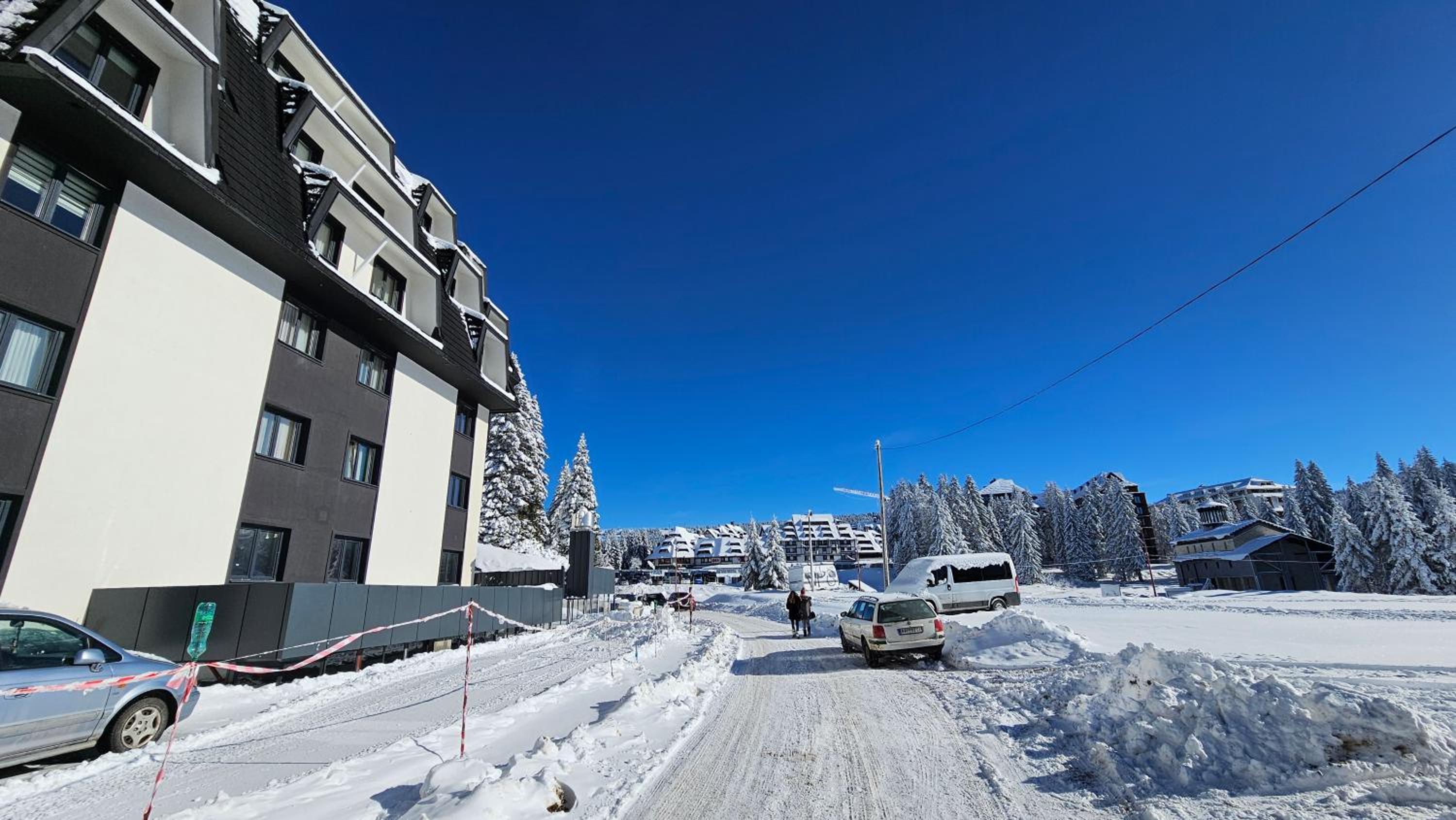 Silver Pine Kopaonik