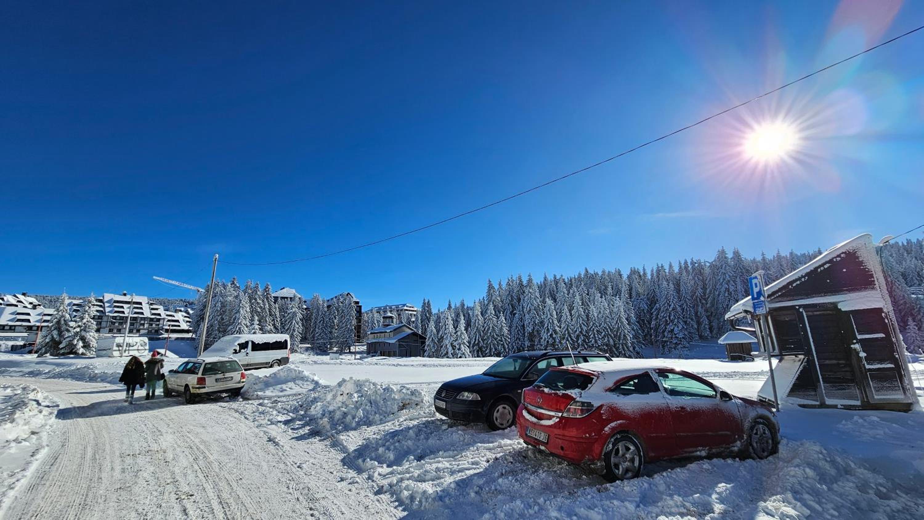 Silver Pine Kopaonik