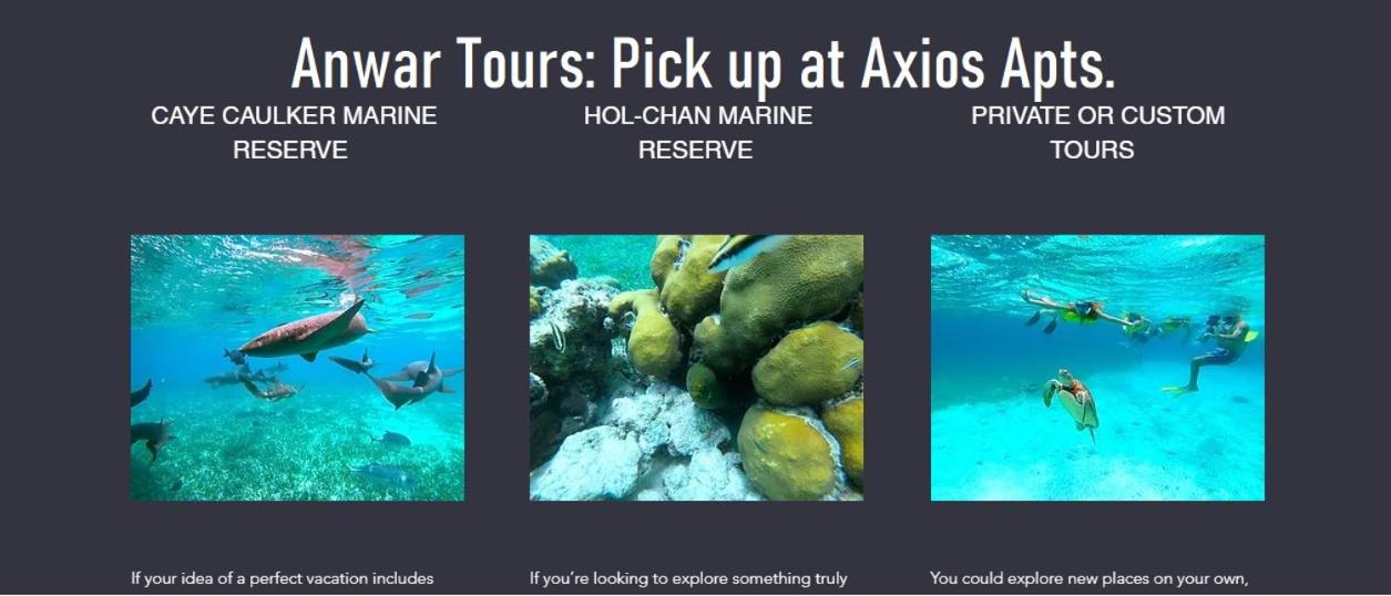 Axios Sun Apartments Caye Caulker view 4