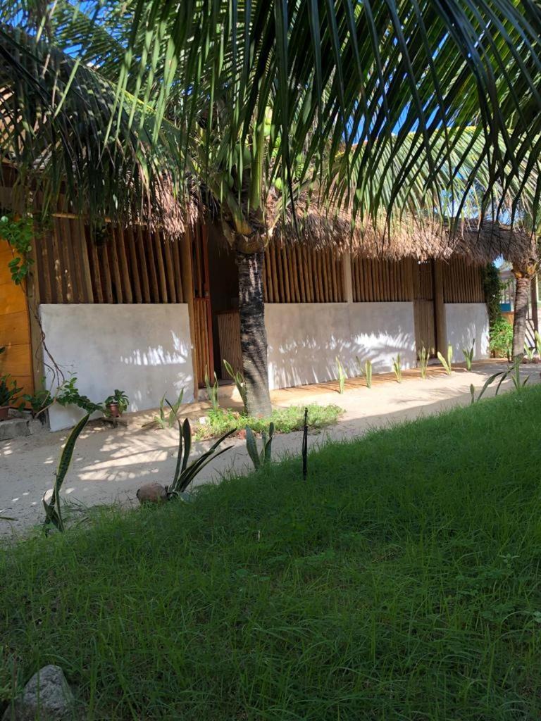 Photo 21