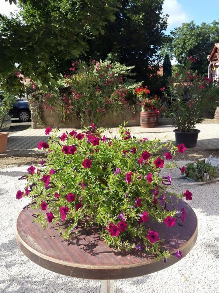 Photo 26
