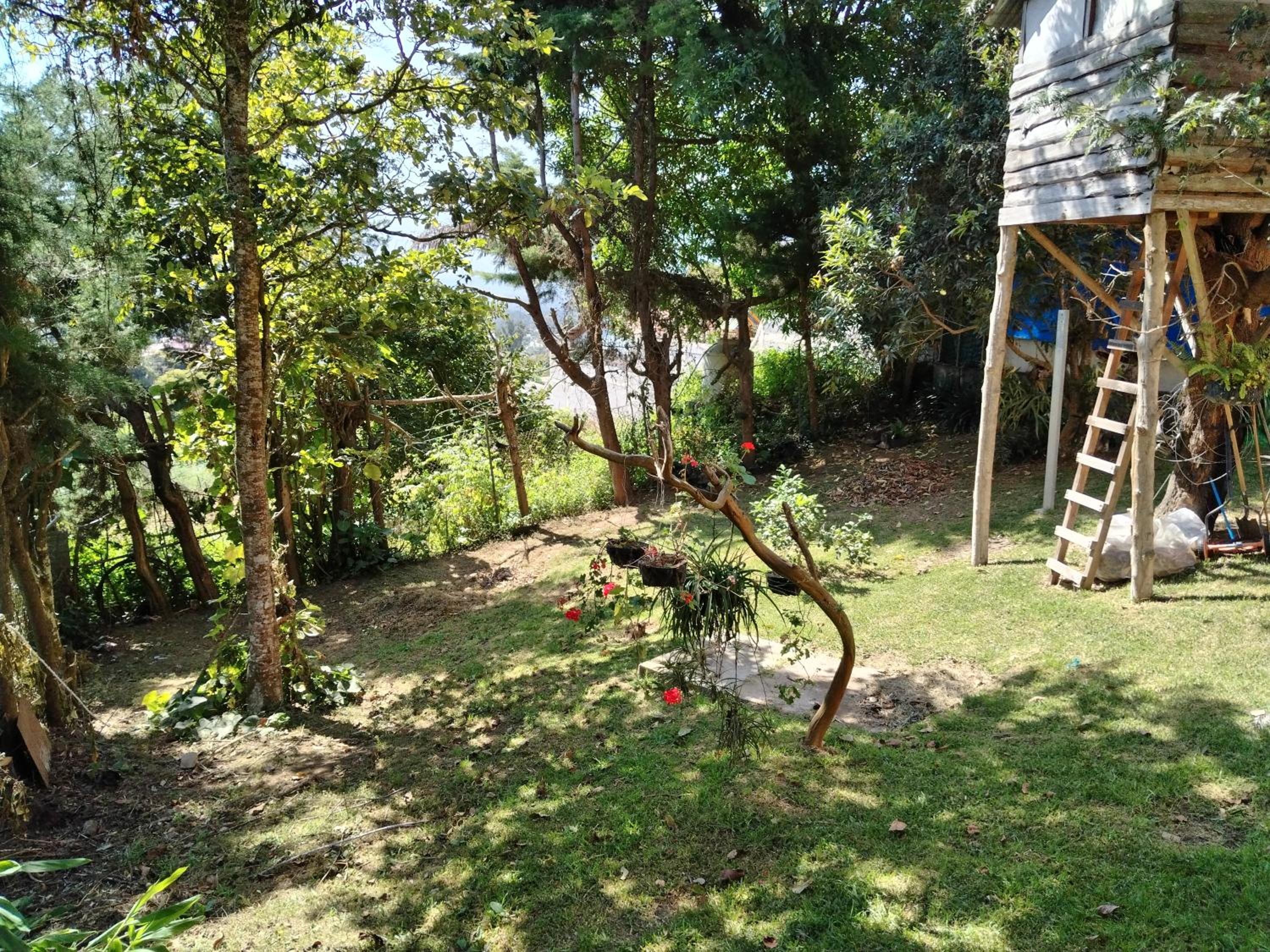 Photo 13