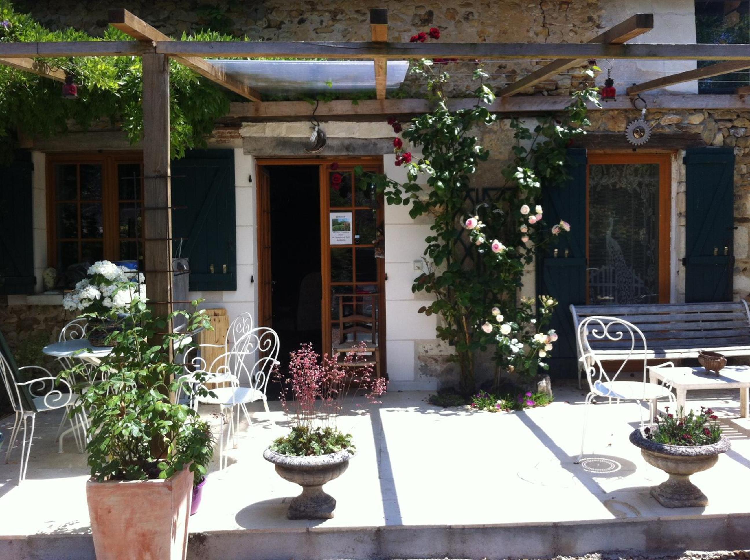 Photo 6