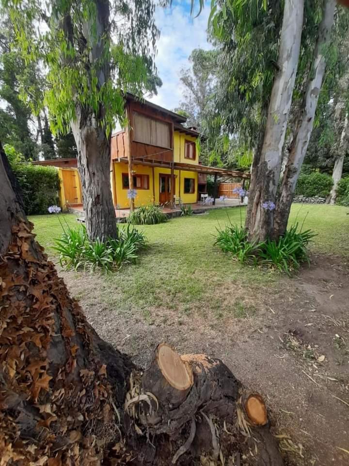 Los Tehuelches, Bosque Peralta Ramos, Playas del sur