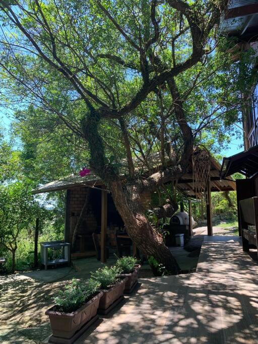 Casa Dunas da Gamboa