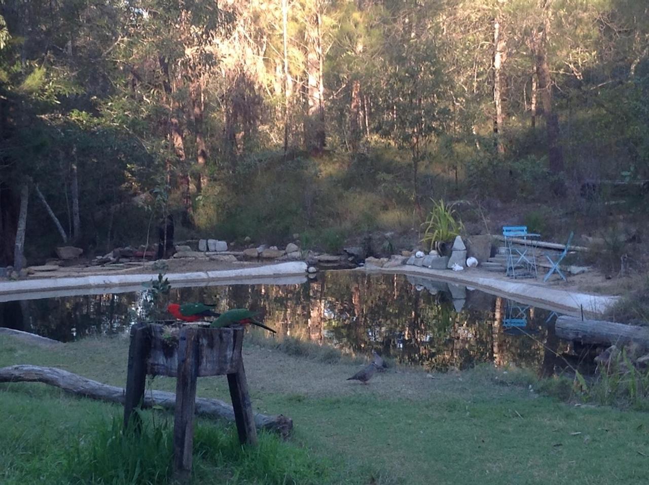 Yamba Hinterland bush retreat - Vintage bus stay