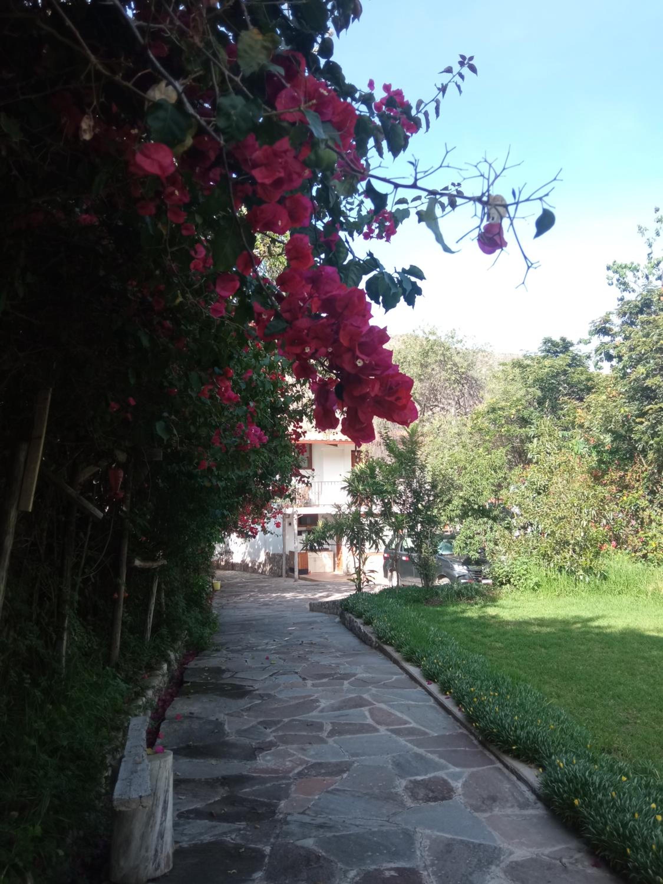 Photo 10