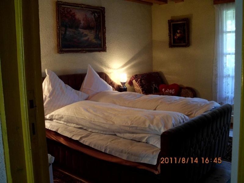 Cazare Poienita