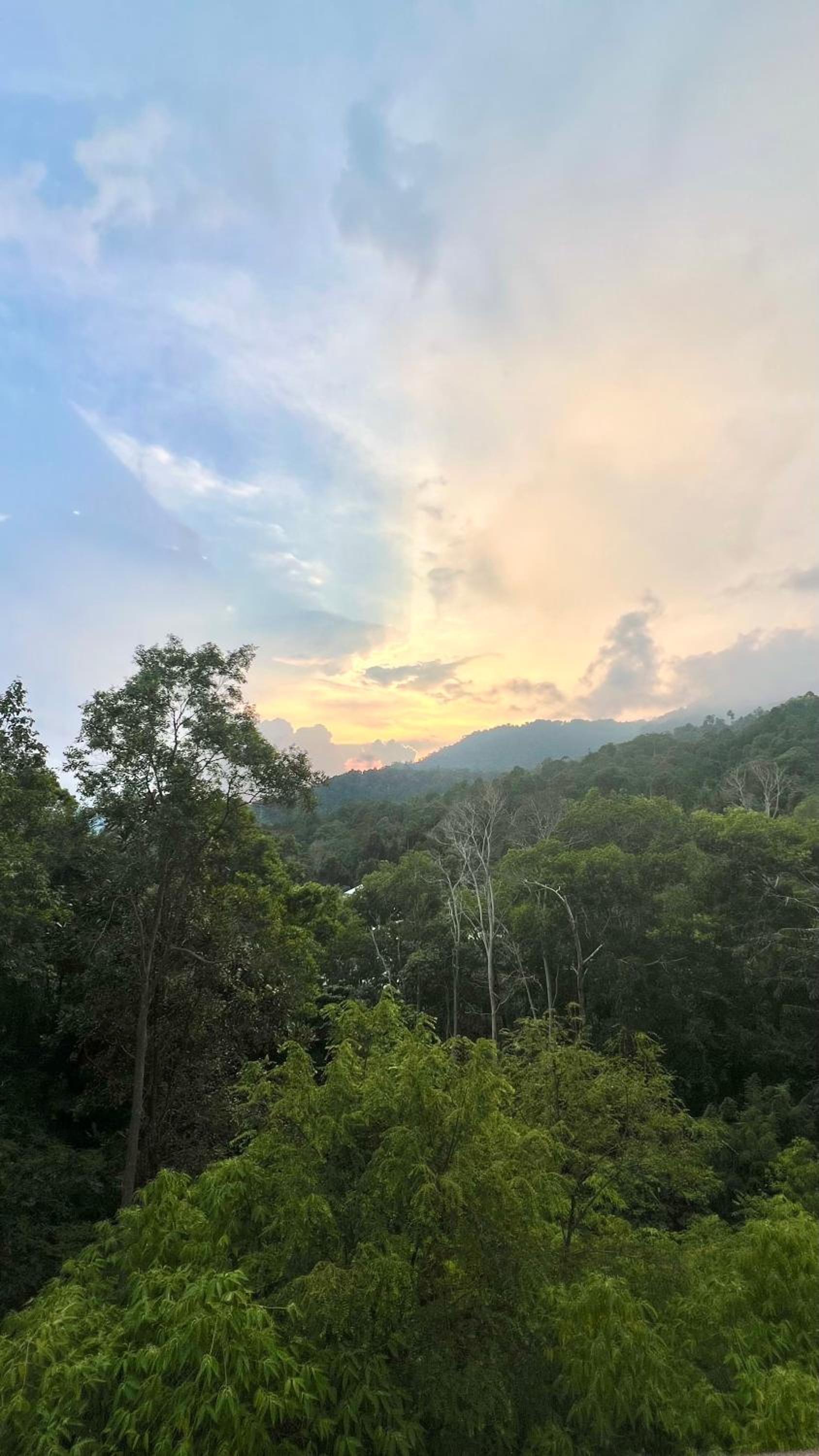 The Hillview inn Meranti Park Suites photo 3