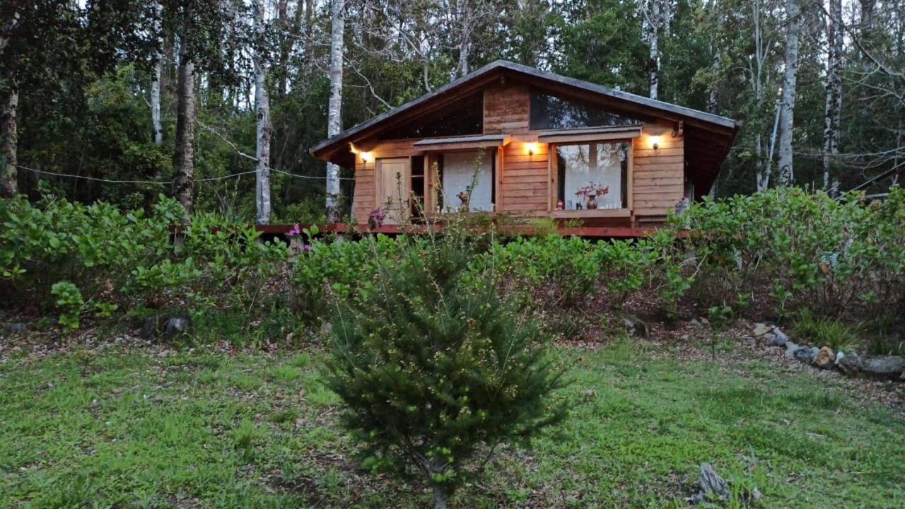 BosqueMágico Pucón Villarrica