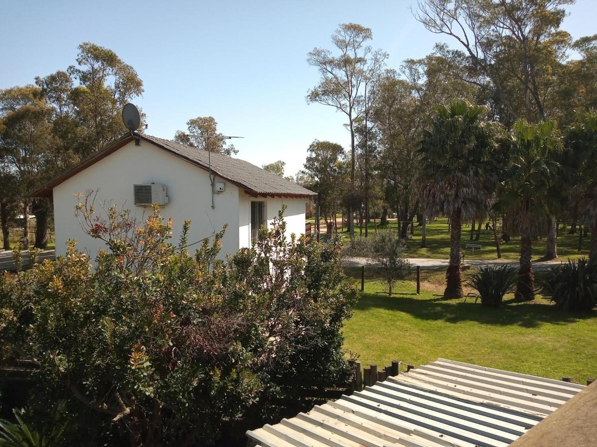 El Olivar view 5