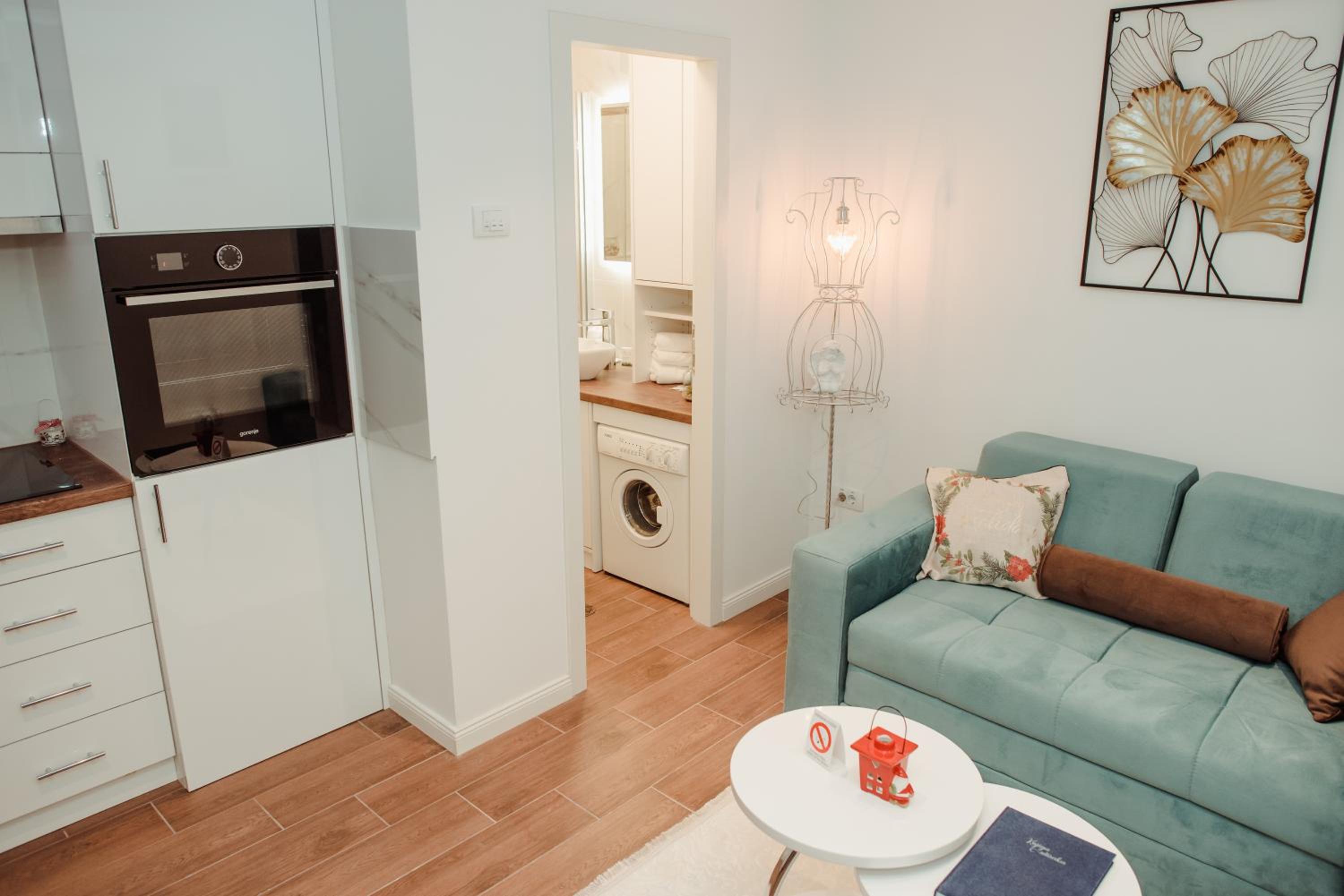 Passage apartment Subotica view 5
