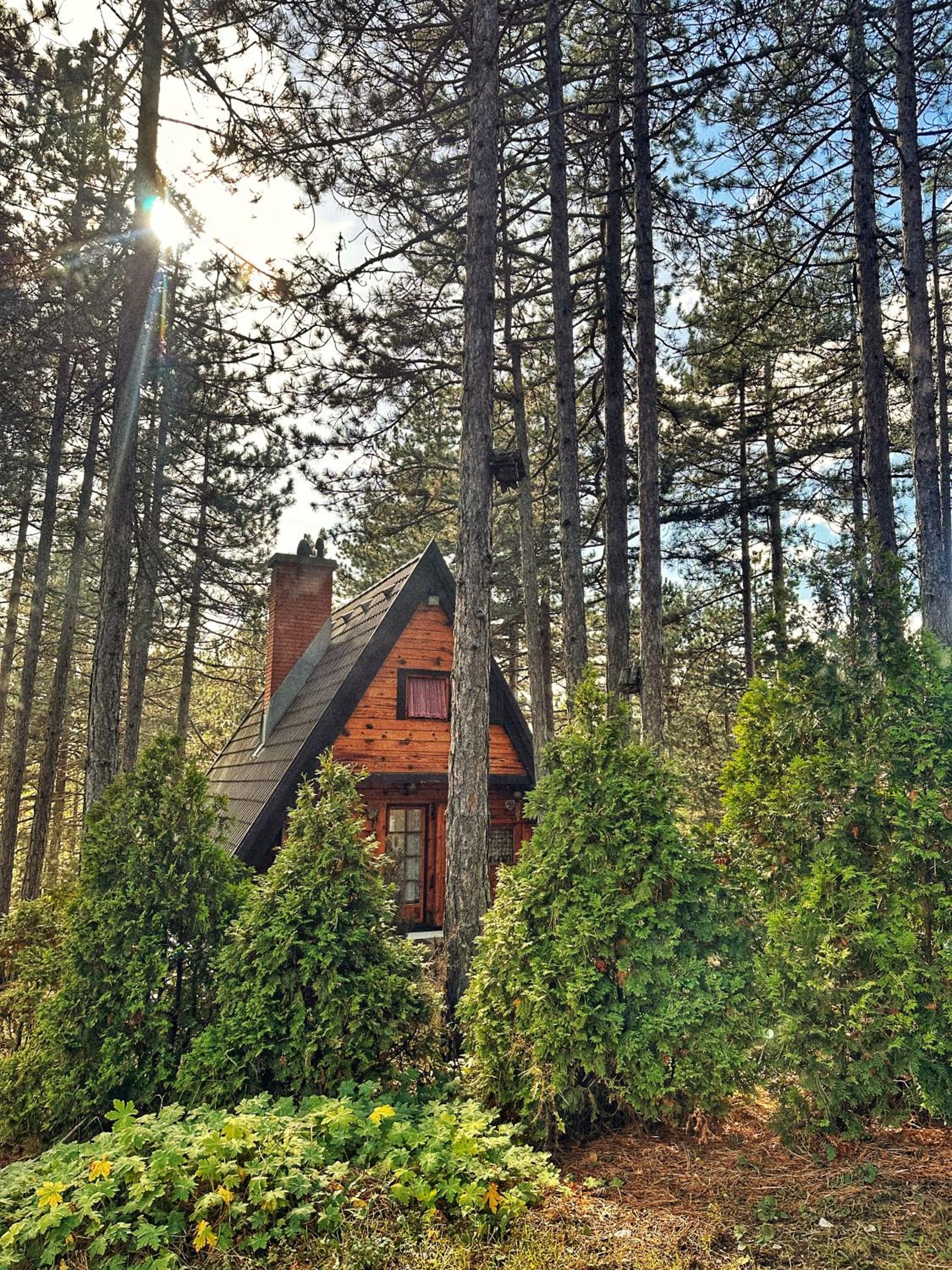 Tara Rustic Retreat