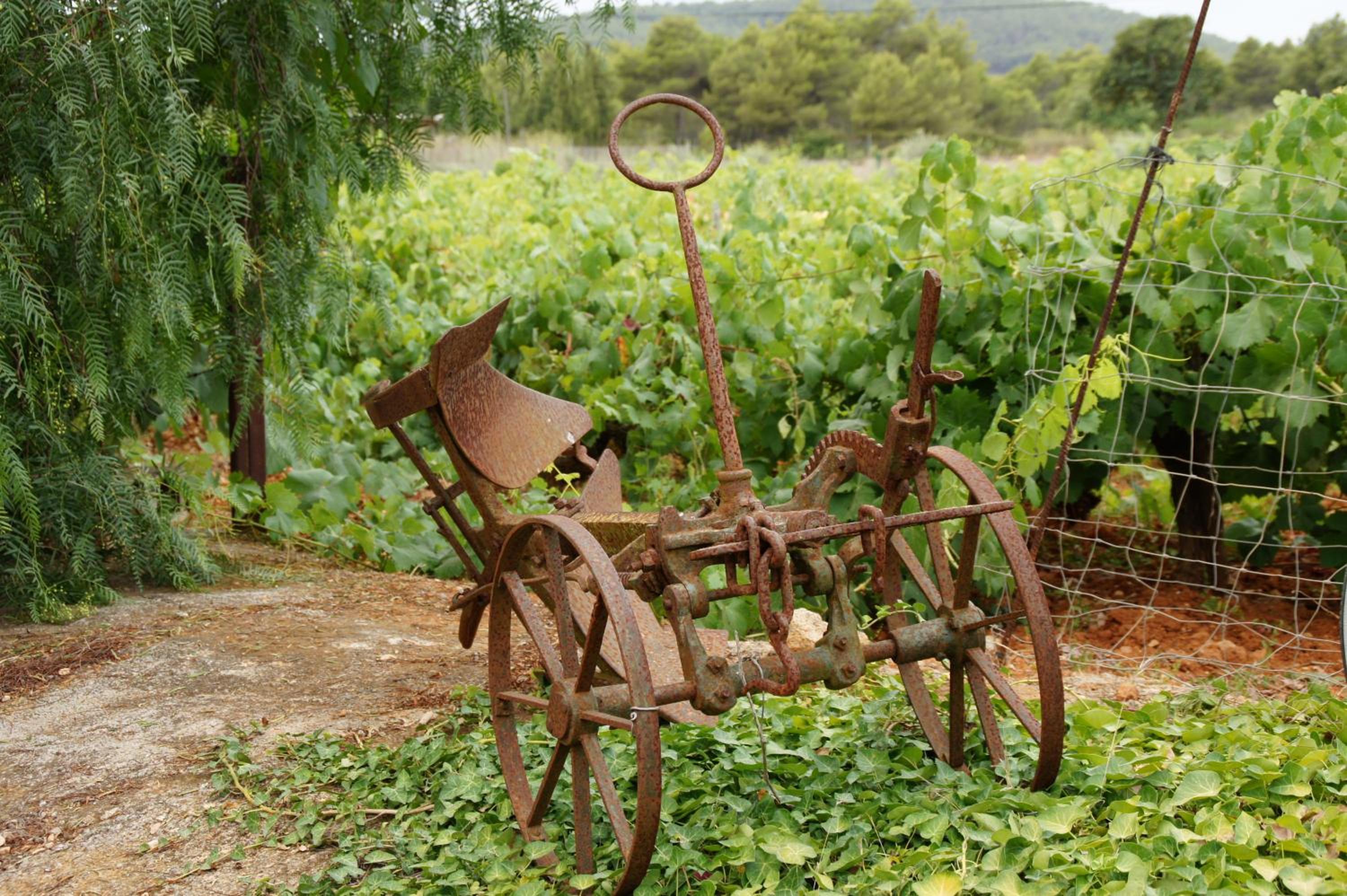 Agroturismo Sa Vinya d'en Palerm