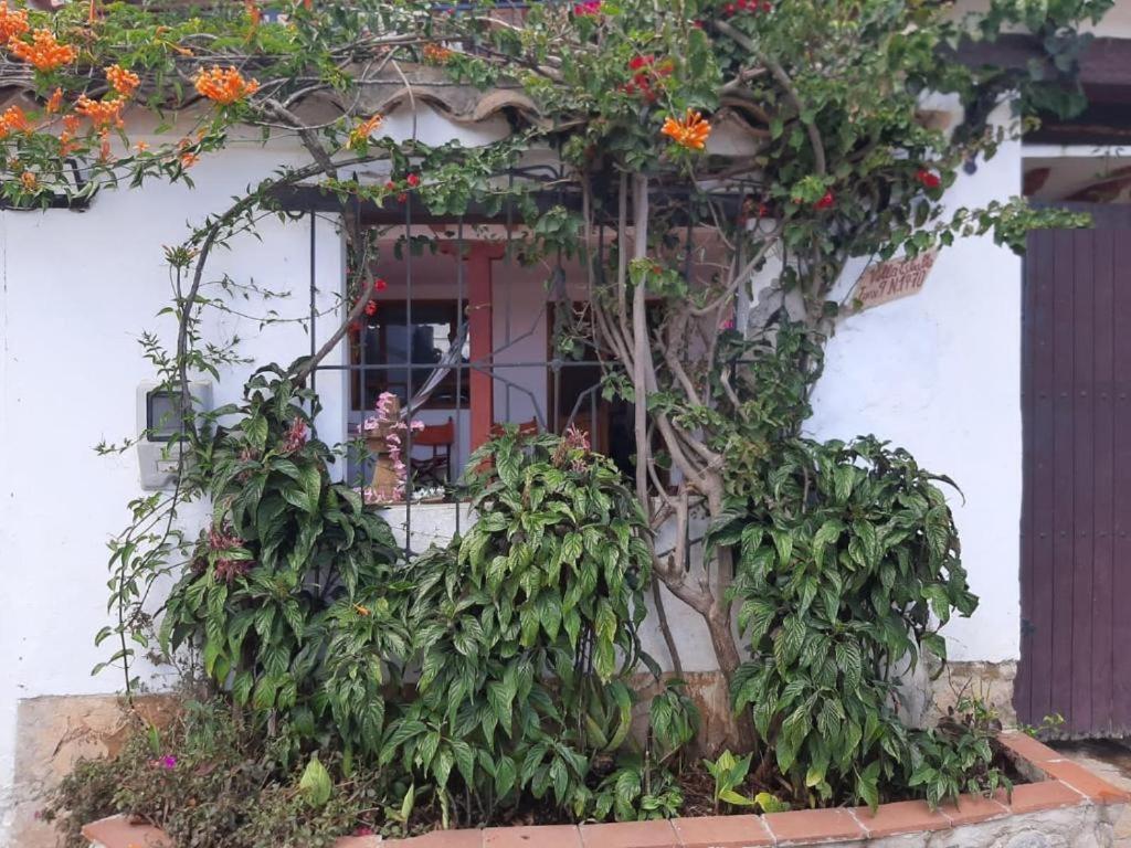 Apartamento Colibrí