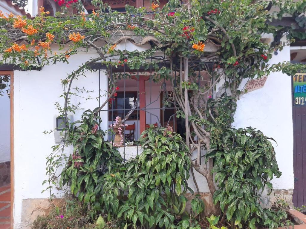 Apartamento Colibrí