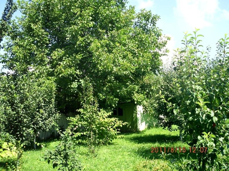 Cazare Poienita
