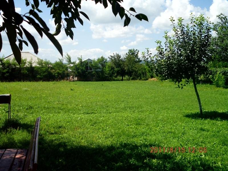 Cazare Poienita