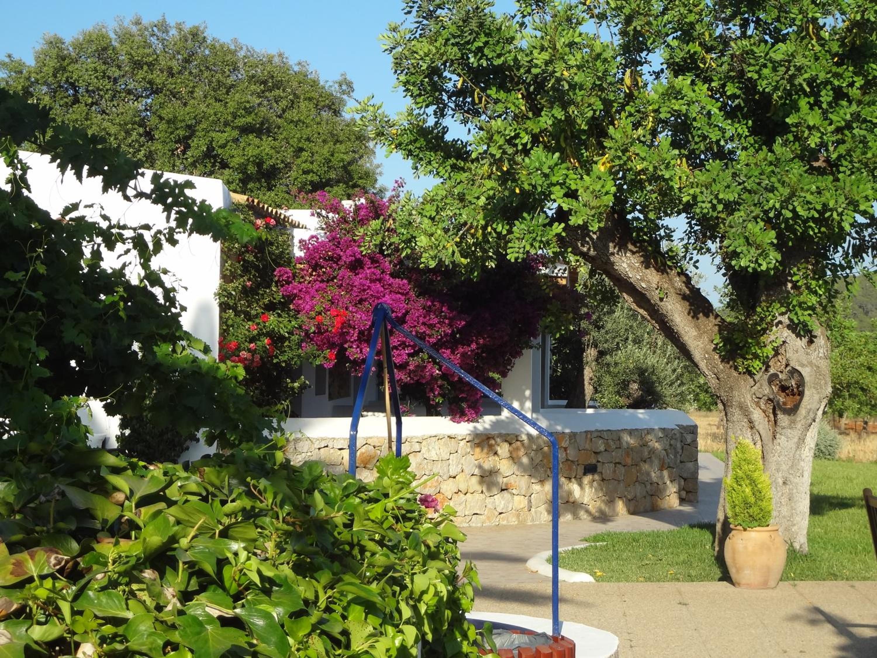 Agroturismo Sa Vinya d'en Palerm