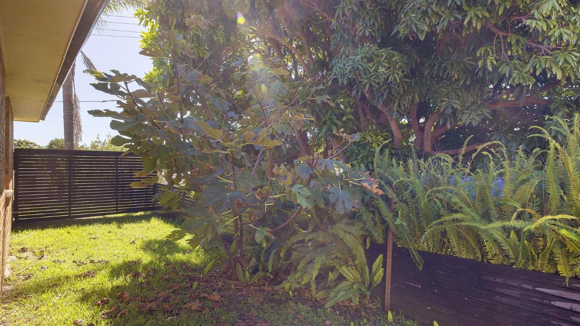 Walking Distance to Shoal Bay Beach