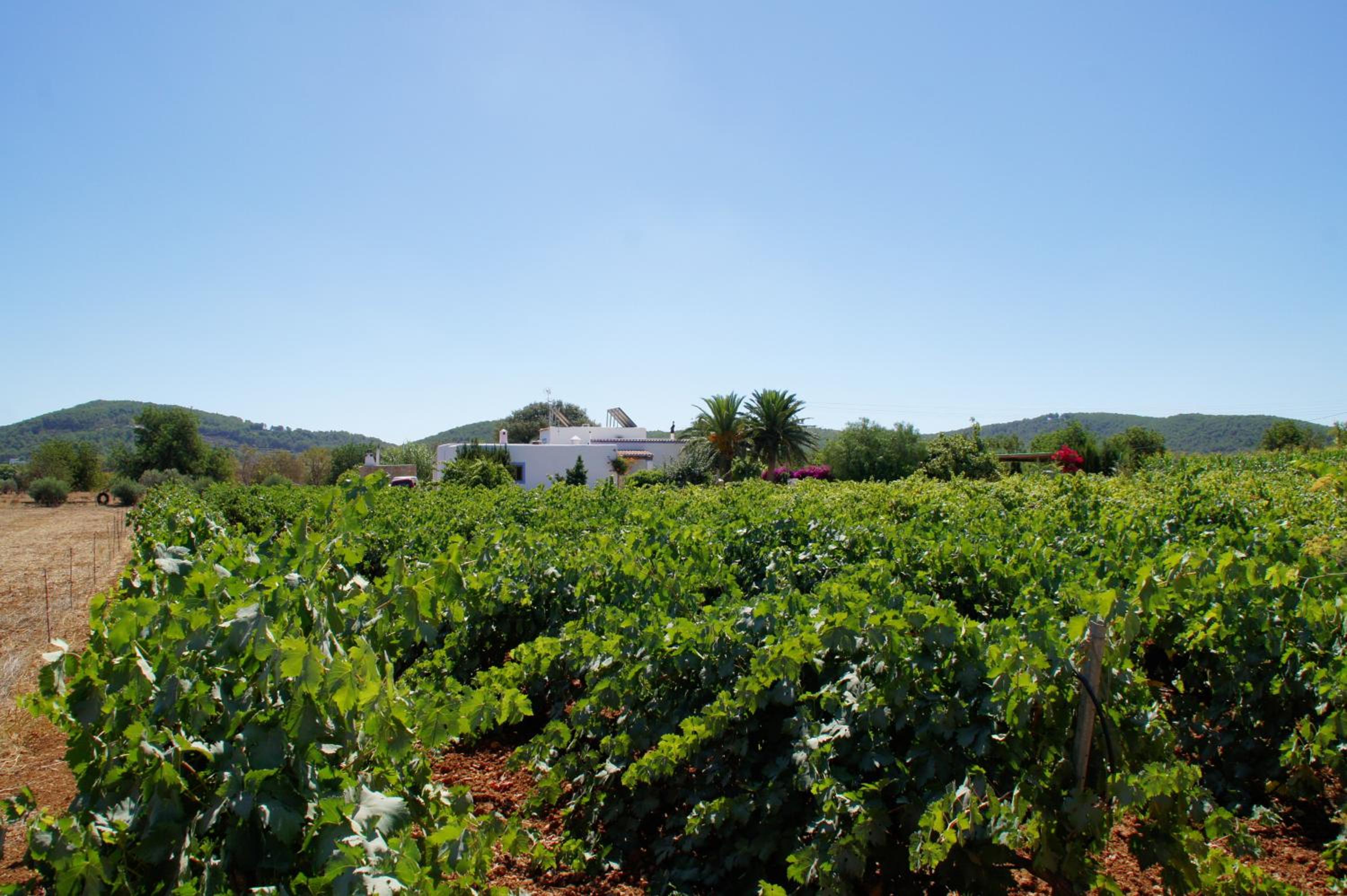 Agroturismo Sa Vinya d'en Palerm