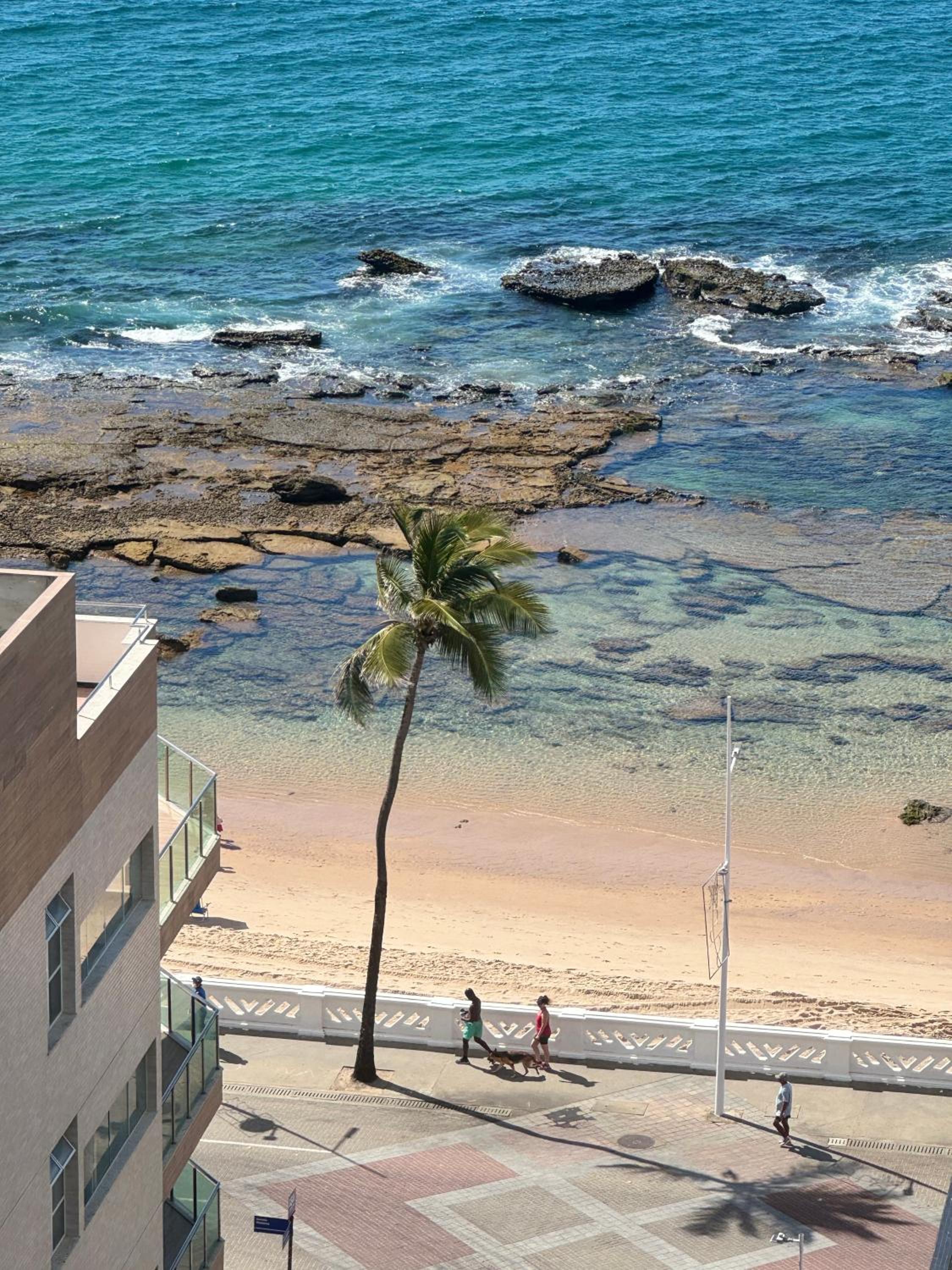 Salvador Farol da Barra N903 Apartamento Vista Mar