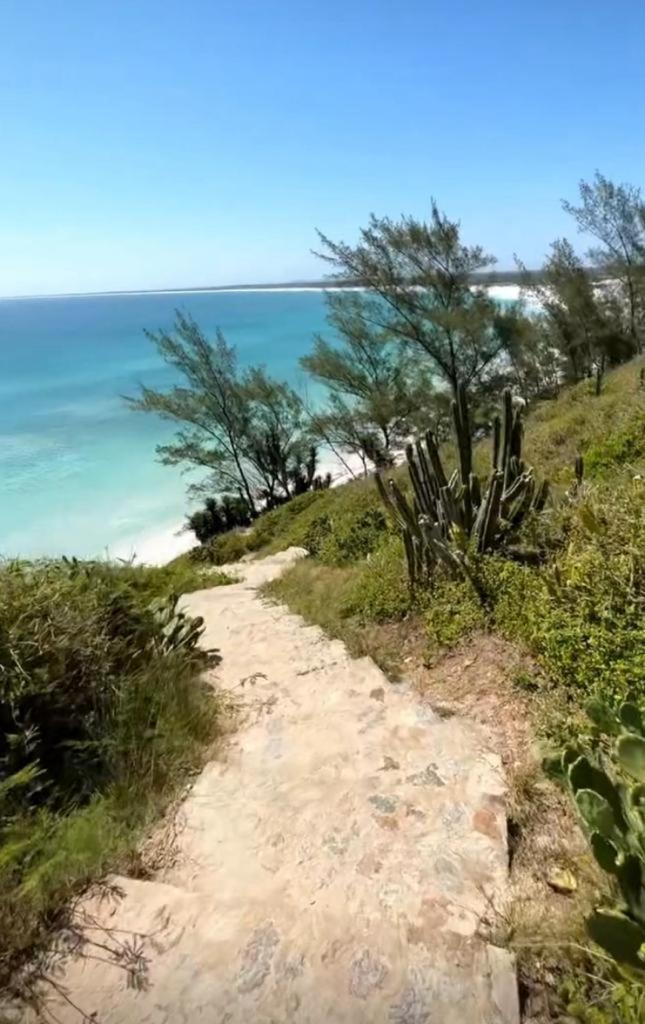 CASA-ARRAIAL VISUAL 4-Qts
