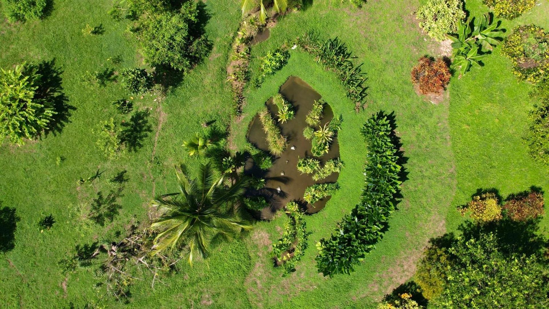 Eden Corcovado