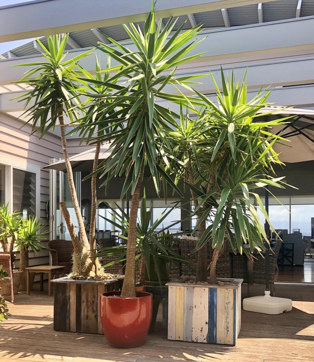 'South Pacific' - Luxury Oceanfront at Culburra!