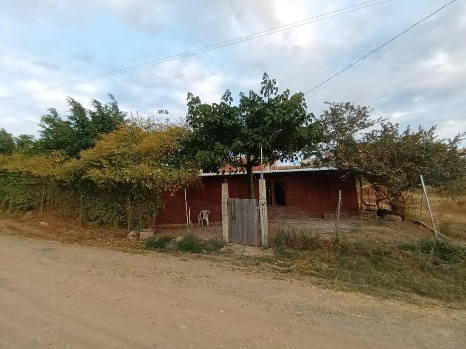 Photo 14