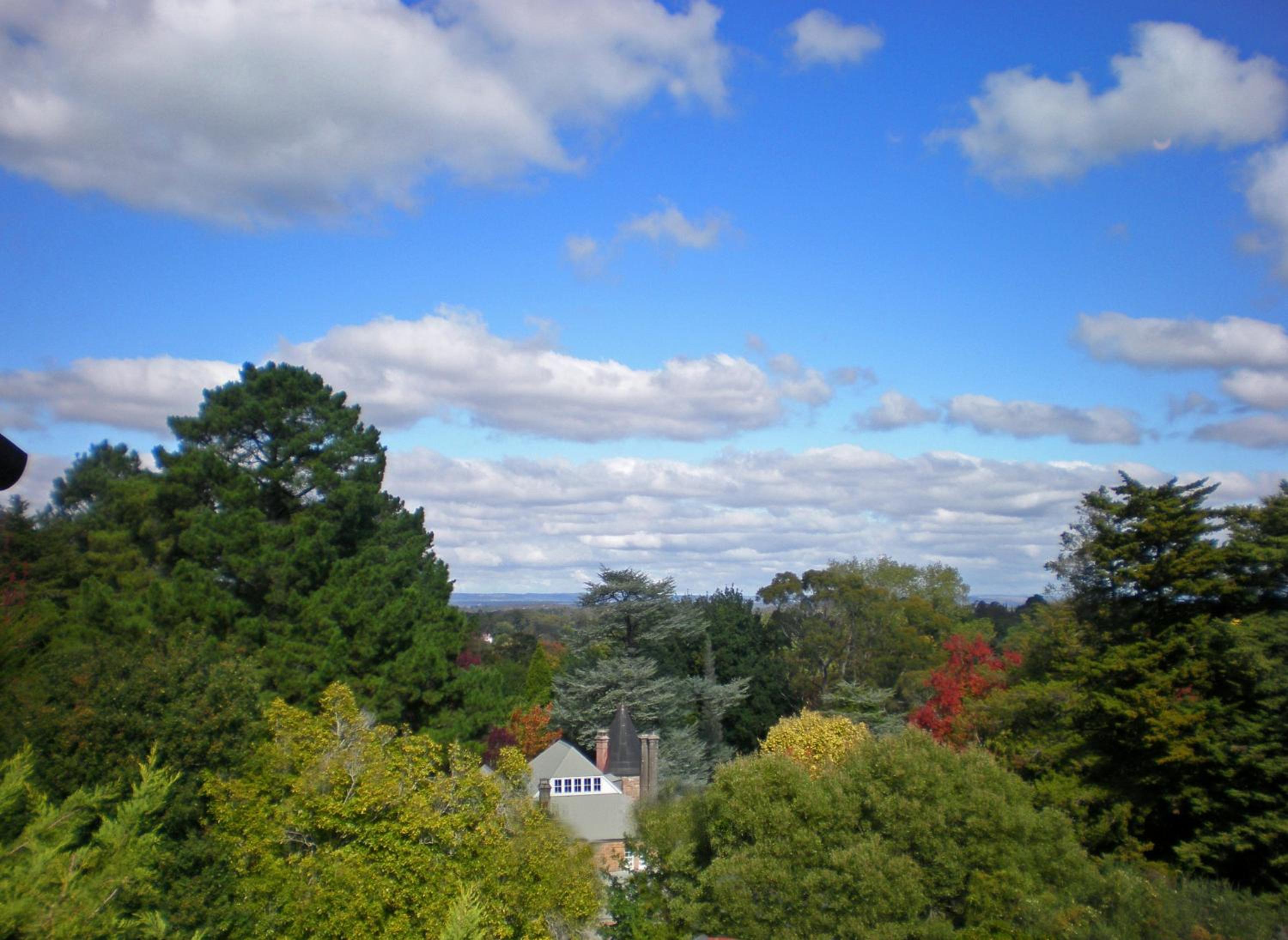 Thorngrove Manor