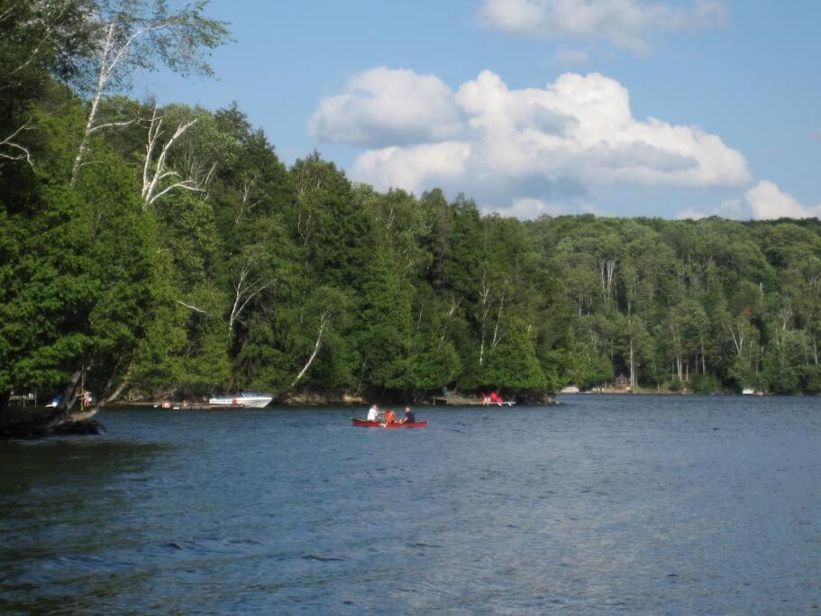 Privacy on a remote lake