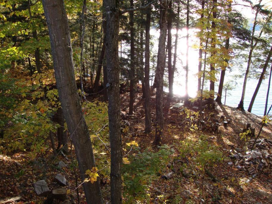 Privacy on a remote lake