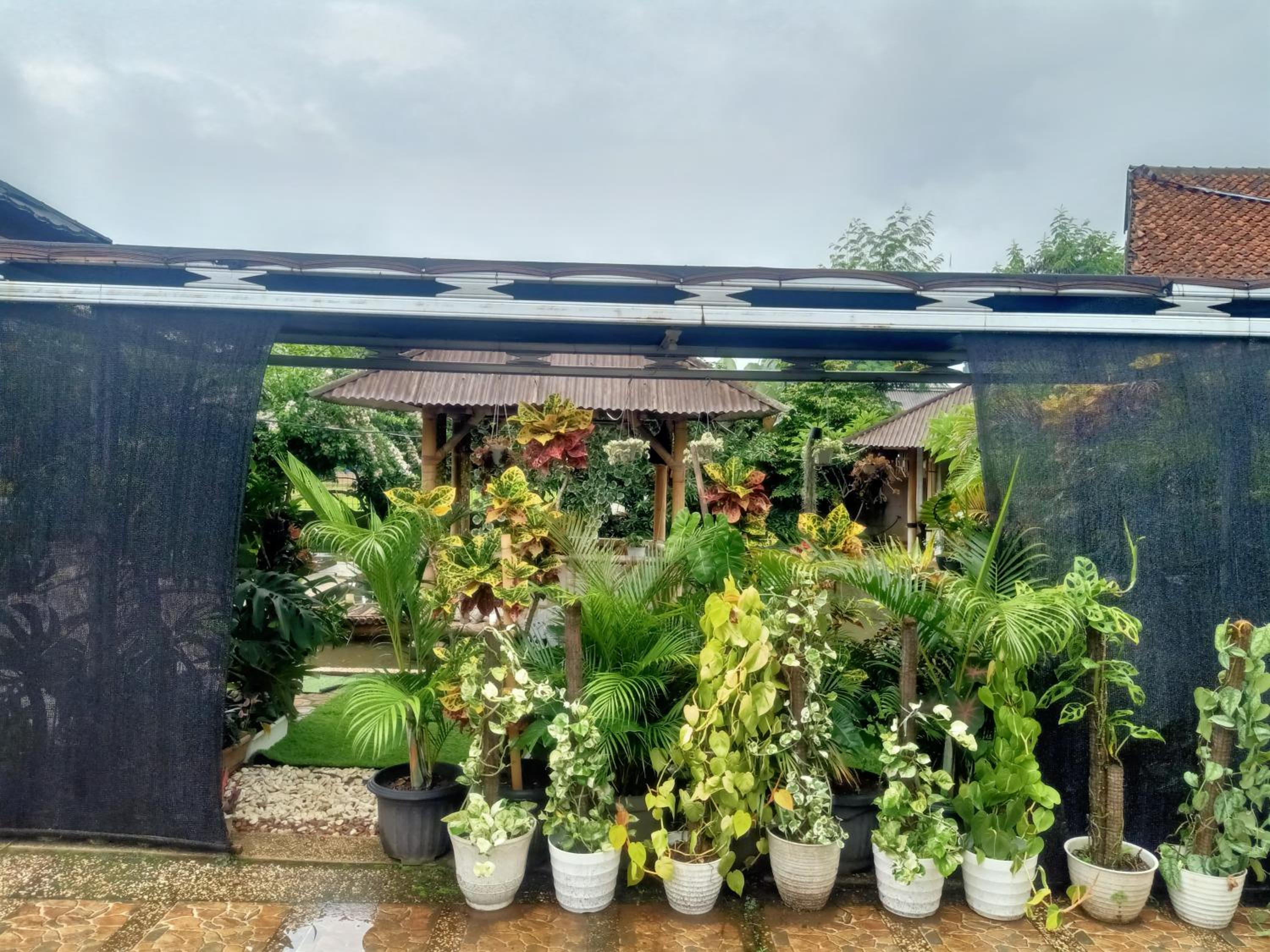 Nanita Homestay view 2