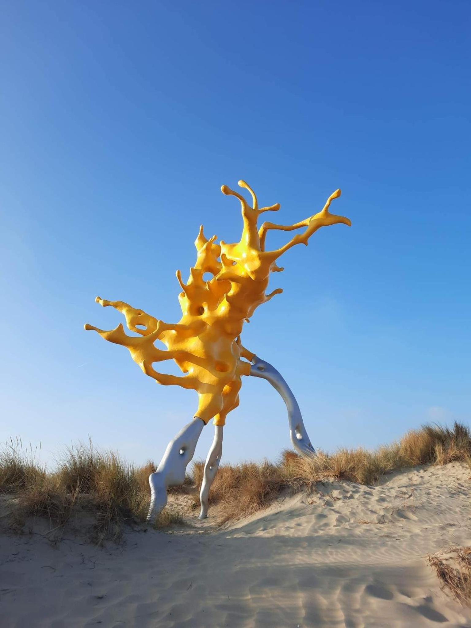 An's seaview Middelkerke