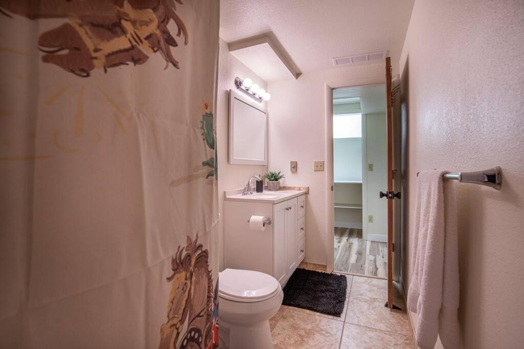 Photo 19