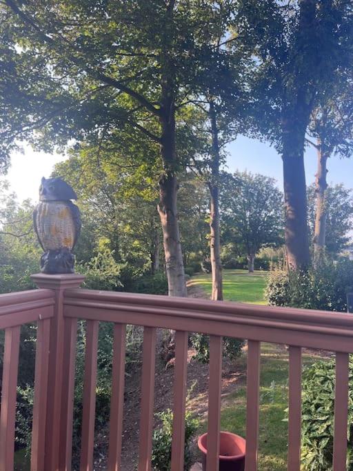 Woodside Lodge, Weybourne, Holt view 4