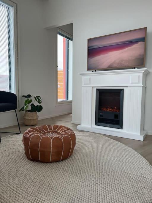 Penthouse in the city center