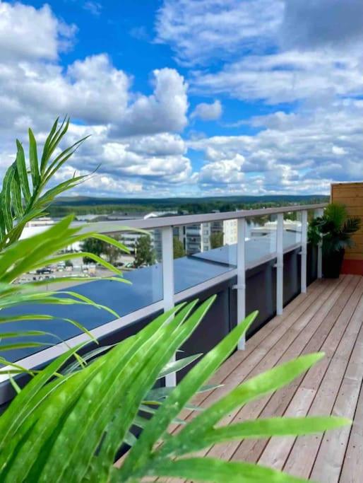 Penthouse in the city center