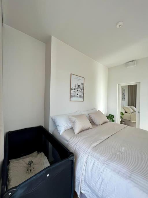Penthouse in the city center